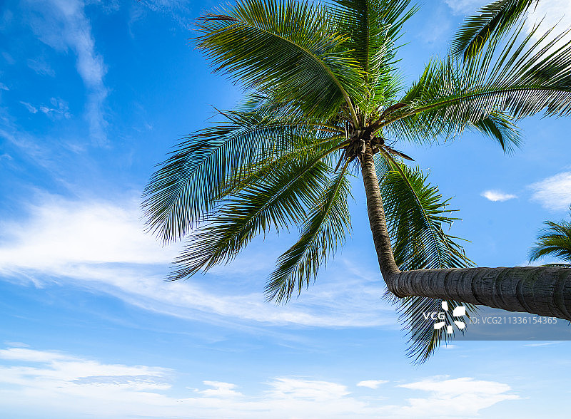 三亚湾椰梦长廊阳光海岸遮阳伞日光浴图片素材