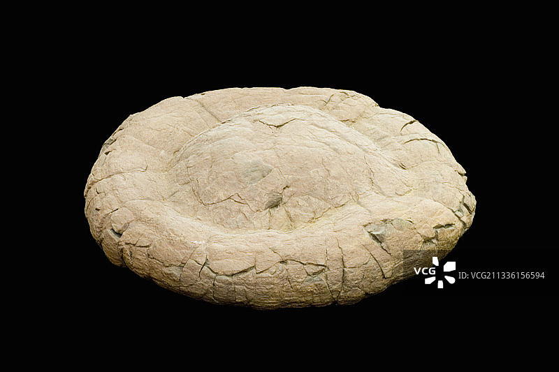 粪化石或化石粪便图片素材