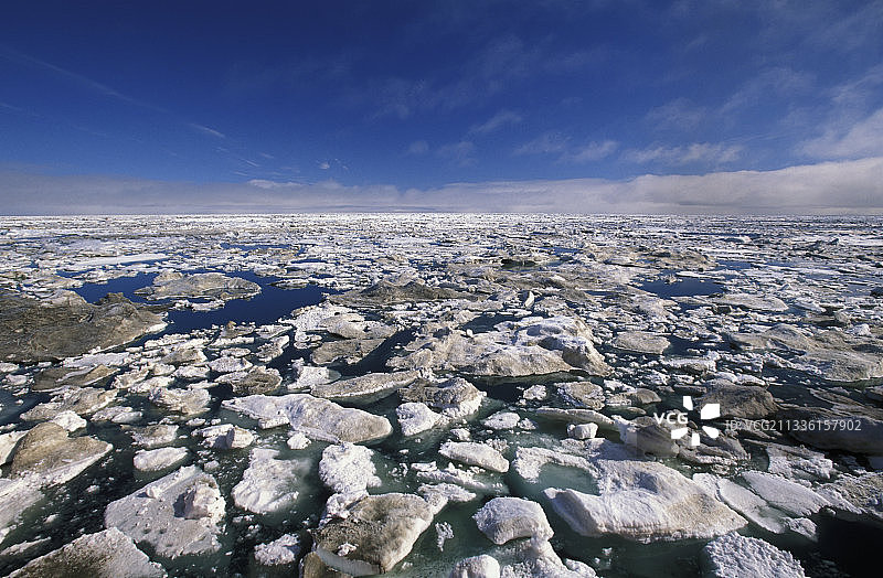 楚科奇海融化的浮冰图片素材