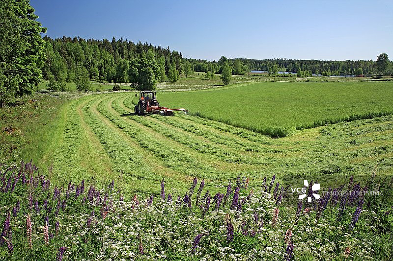 收割的草图片素材