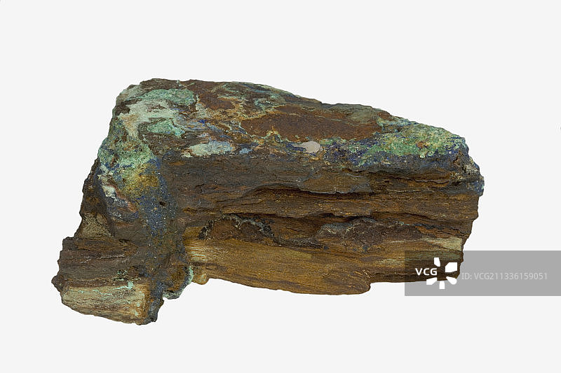 新墨西哥州石化木图片素材