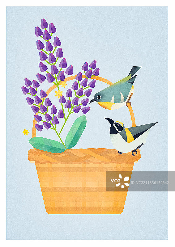 动物植物装饰画图片素材