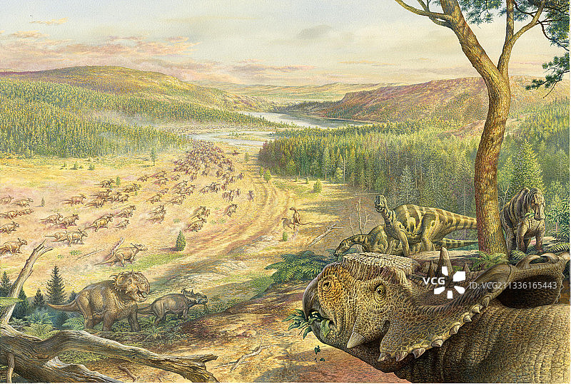 厚鼻龙和埃德蒙顿龙图片素材