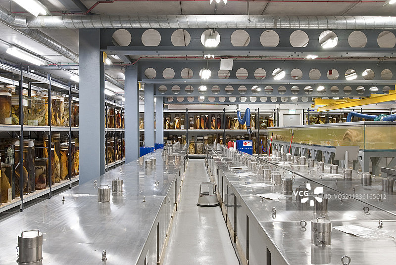 自然历史博物馆的储水室图片素材