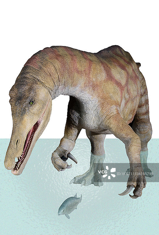 重爪龙恐龙模型图片素材