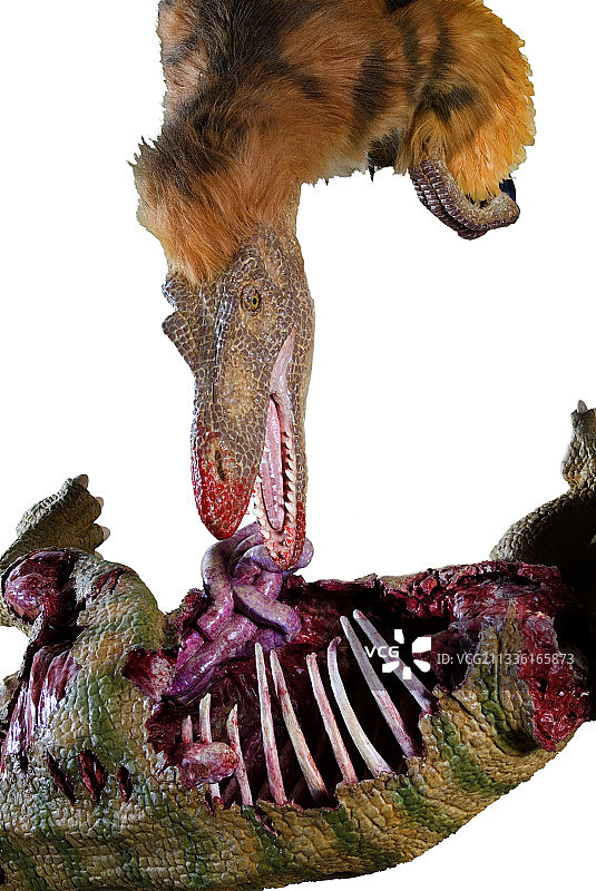 伶盗龙模型图片素材