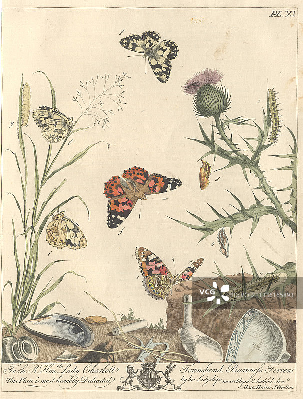 彩绘丽人凤蝶艺术作品图片素材