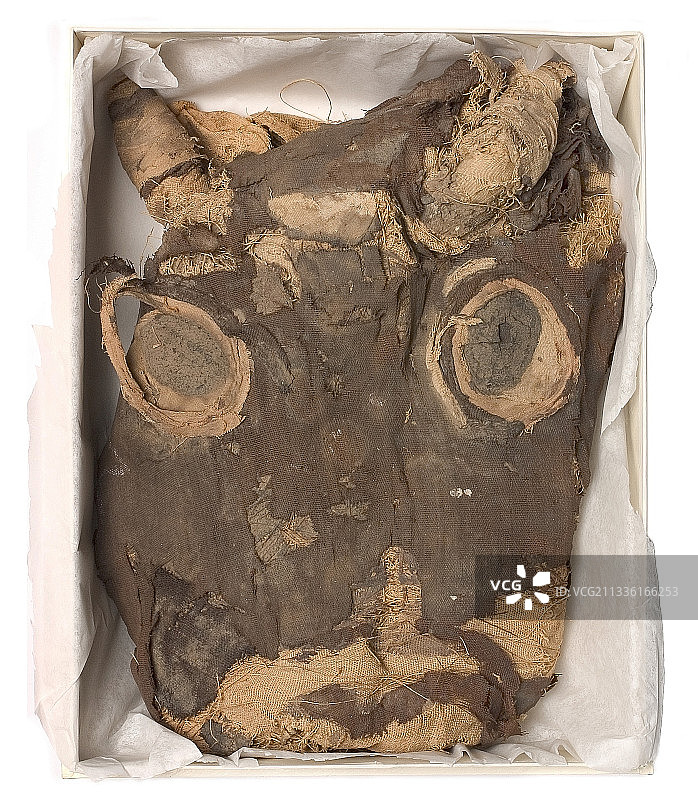 埃及小牛木乃伊图片素材