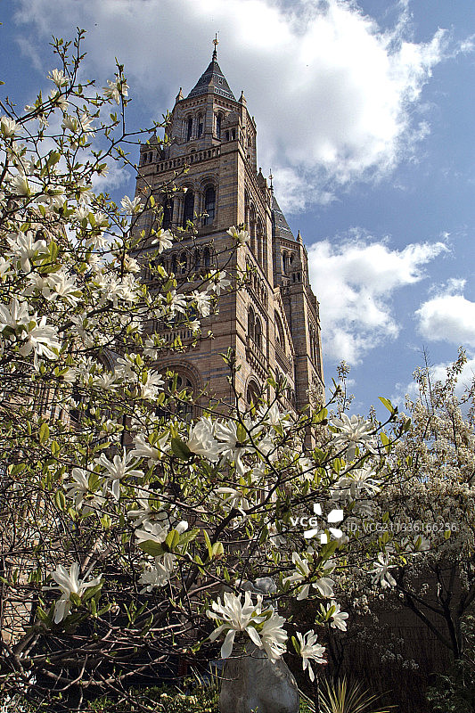 自然历史博物馆、塔楼和树木图片素材