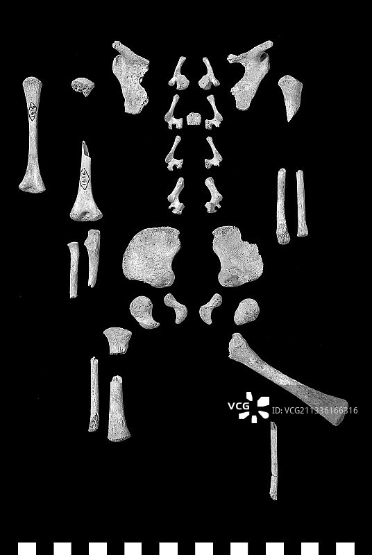 罗马不列颠时期的婴儿骨骼图片素材