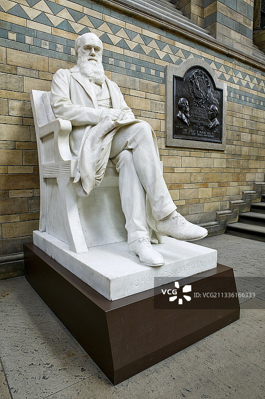 查尔斯·达尔文博物馆雕像图片素材