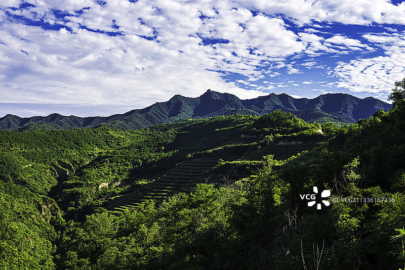 葱茏山色图片素材