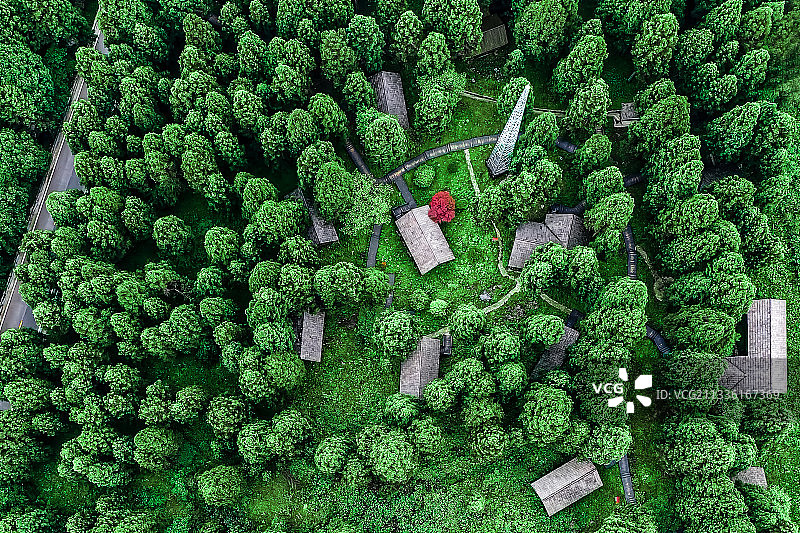 湖北恩施咸丰县坪坝营国家森林公园图片素材