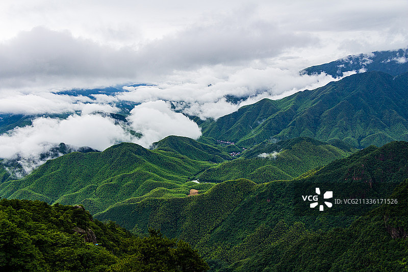 山舞银蛇 安吉云上草原图片素材