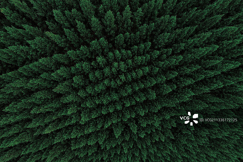 哈达门高原牧场 呼和浩特图片素材