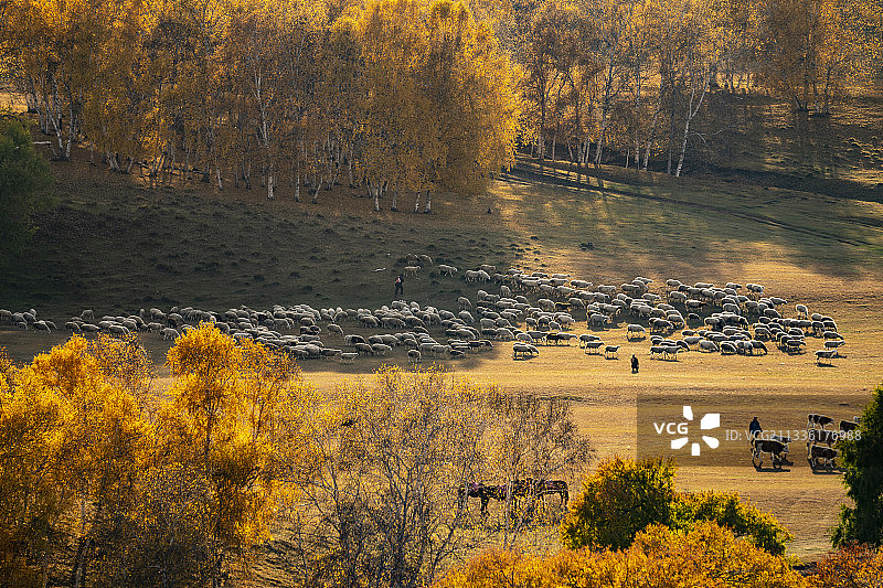 《牧羊图》图片素材