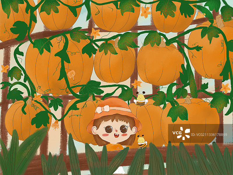 南瓜园图片素材