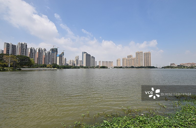 泉州晋江晋阳湖公园五月风光图片素材