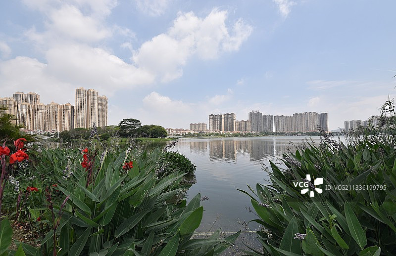 泉州晋江晋阳湖公园五月风光图片素材