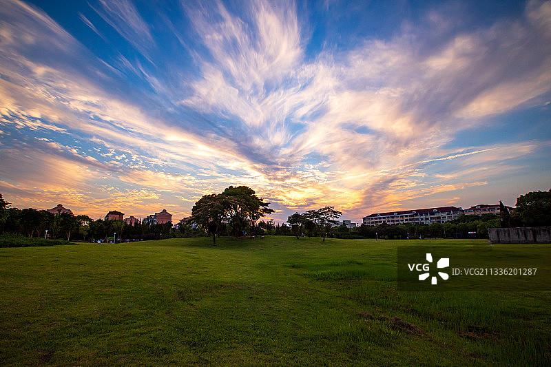 上海金山城市沙滩绿地日落图片素材