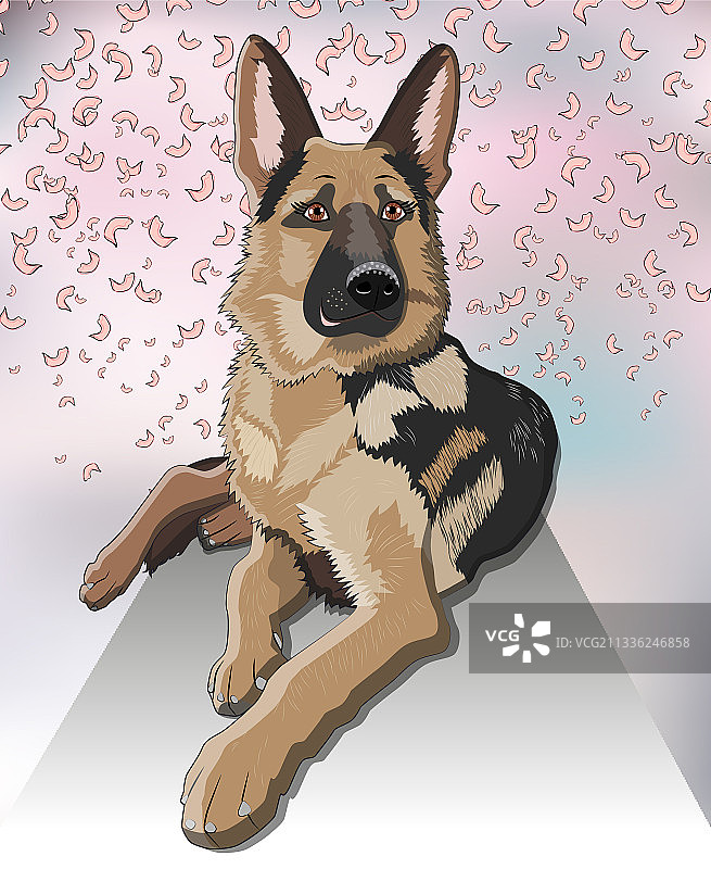 德国牧羊犬坐姿微笑图片素材