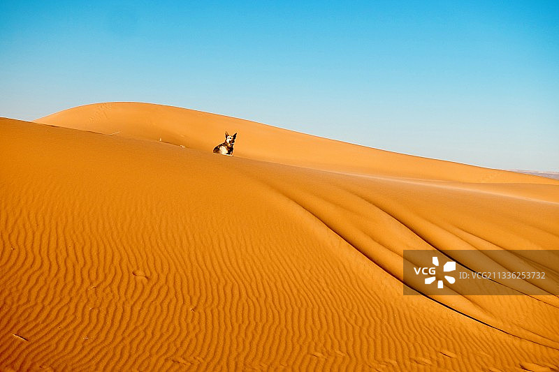 孤星_撒哈拉沙漠图片素材