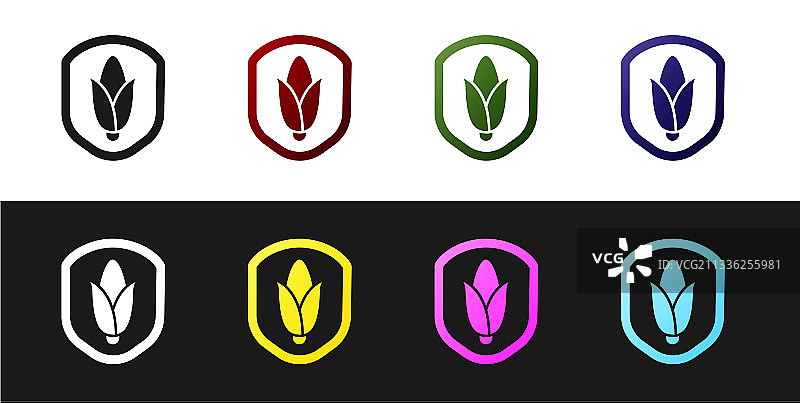 黑白背景上的盾牌玉米图标套装图片素材