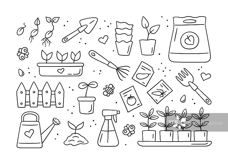 种子和幼苗发芽工具图片素材