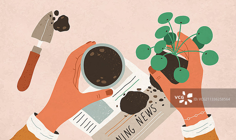 俯视双手重新种植豆瓣绿图片素材