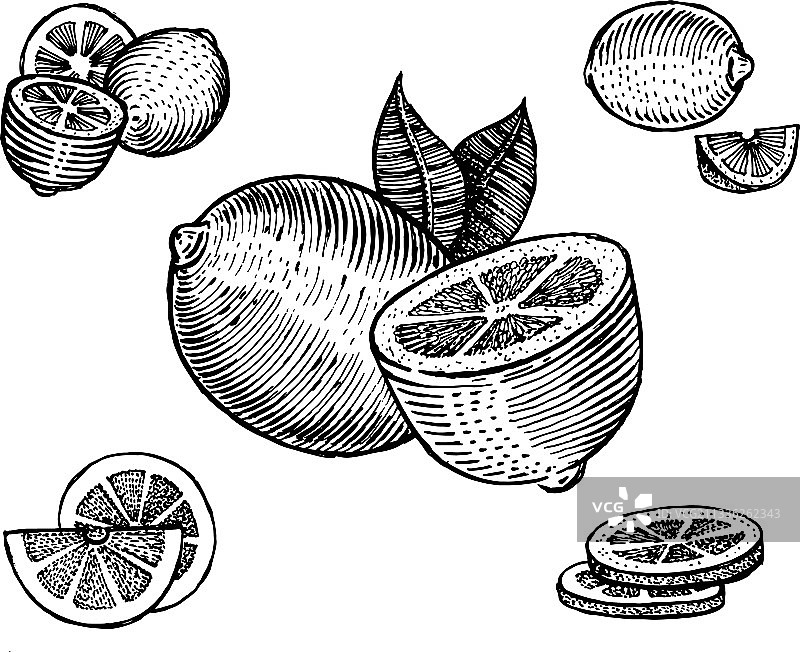 柠檬复古图案图片素材