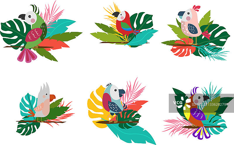 小鸟栖息在树枝上图片素材