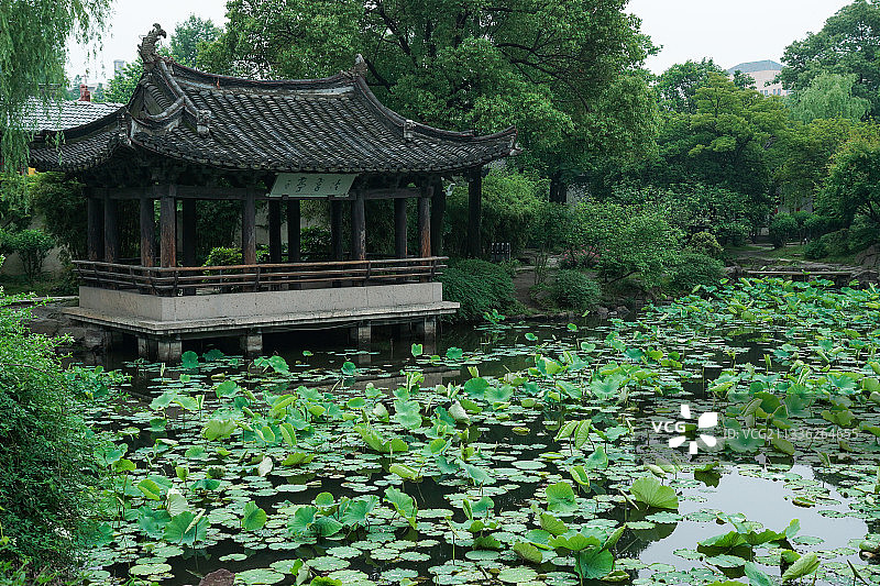 绍兴沈园庭院风光图片素材