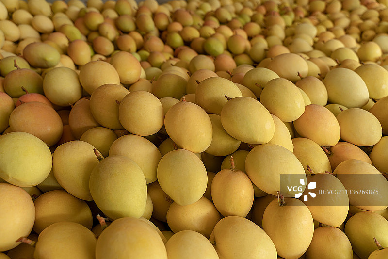 一堆芒果图片素材