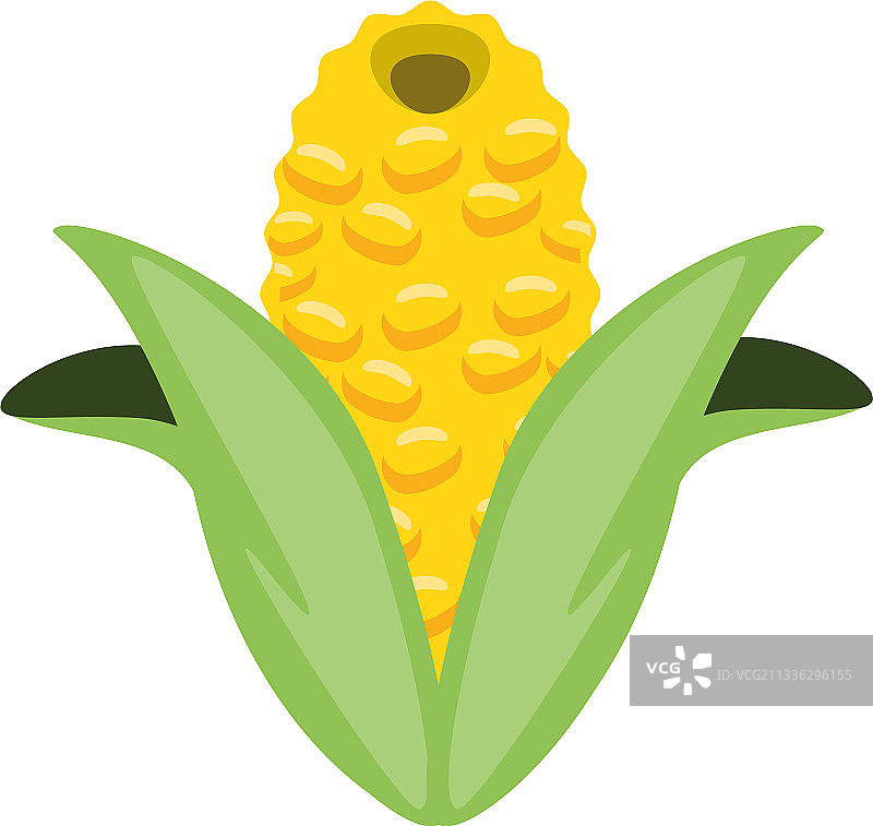 玉米棒食物图片素材
