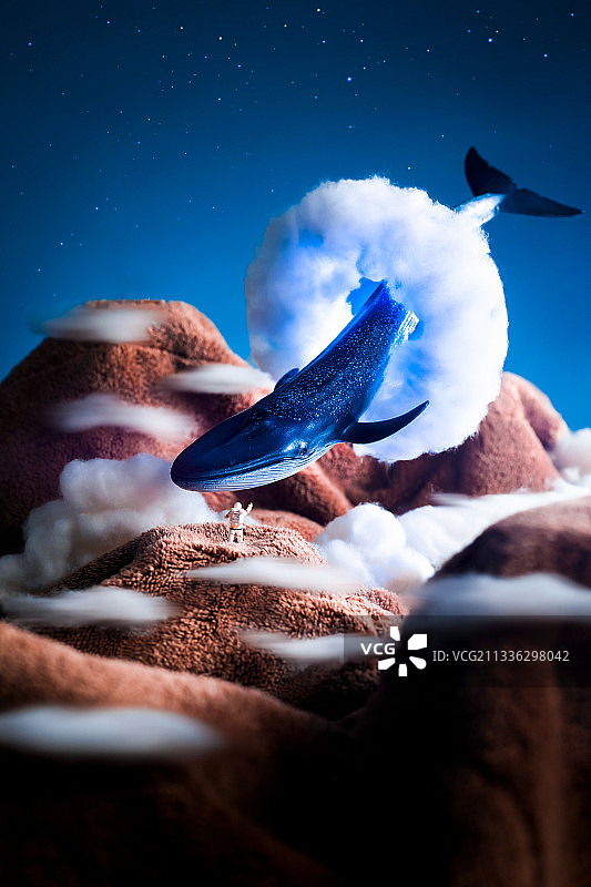 山海鲸图片素材