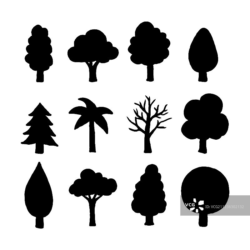 白色背景上的独立松树图片素材