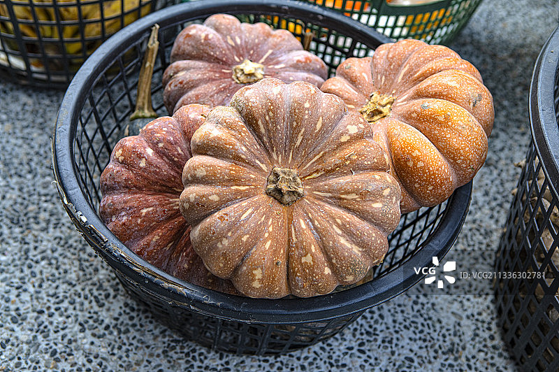 新鲜的南瓜蔬菜农产品图片素材