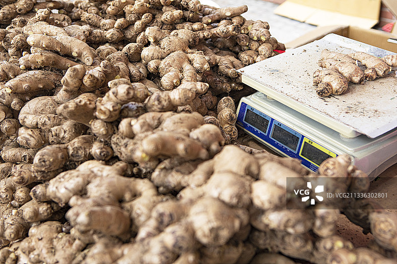 新鲜的姜根茎蔬菜图片素材