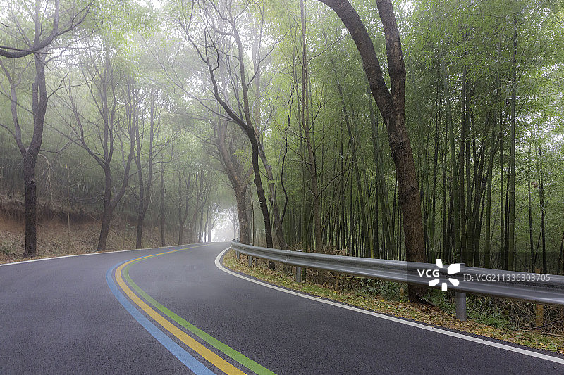 树林间的公路图片素材