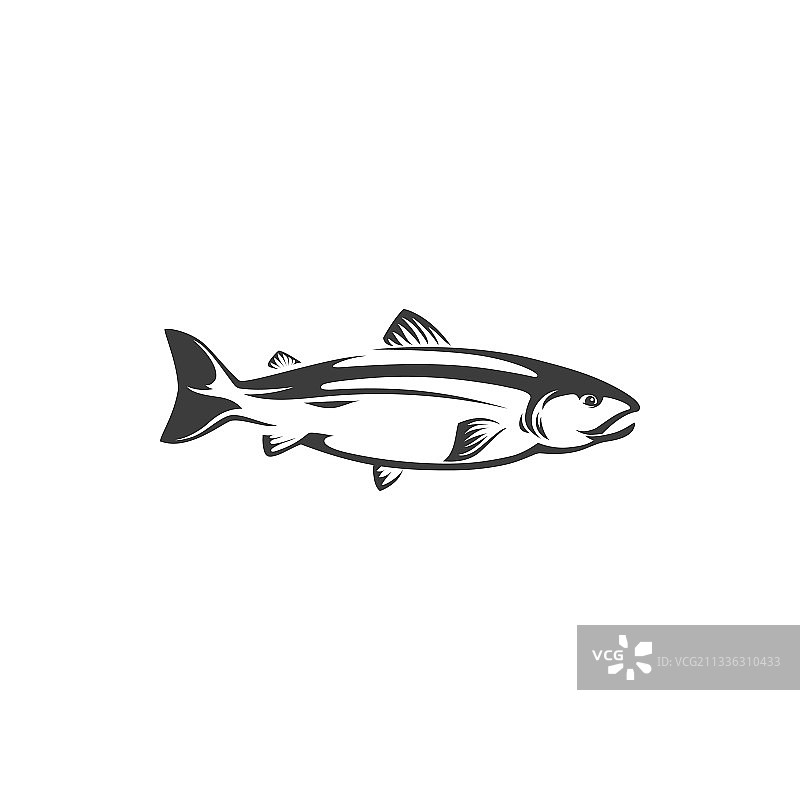 大马哈鱼或粉红鲑鱼隔离鱼类图标图片素材