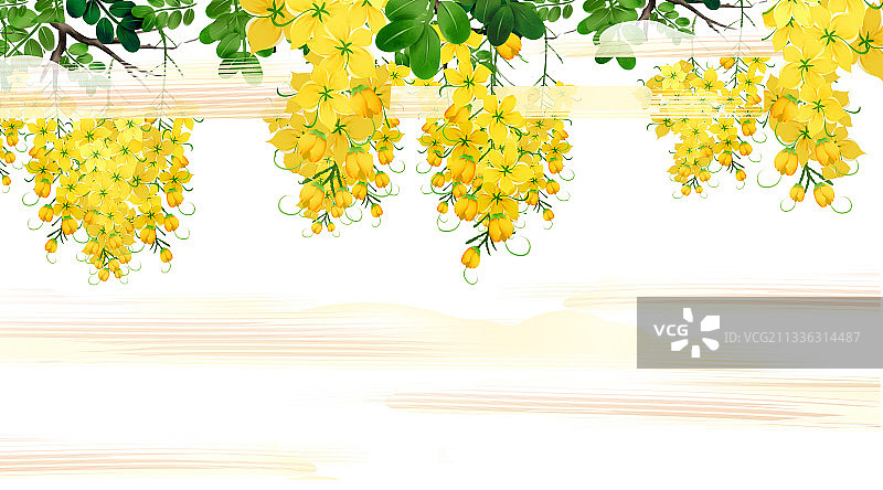 中国风外墙决明子花插画元素图片素材