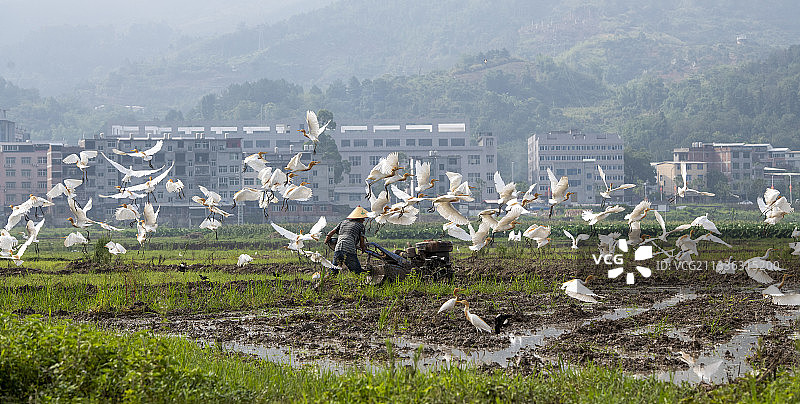 和谐农耕图片素材