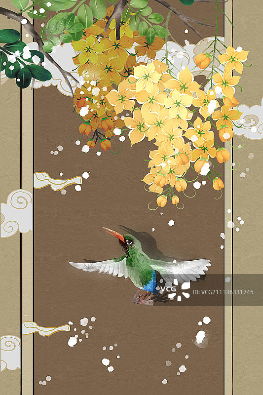 中国风决明子花插画背景图片素材