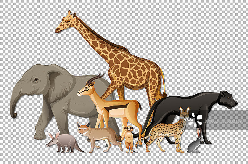 非洲野生动物组合透明背景素材图片素材