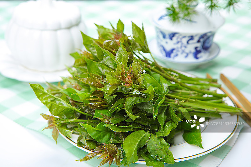 刺五加图片素材