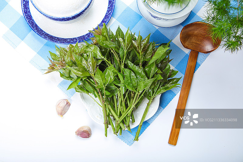 刺五加图片素材