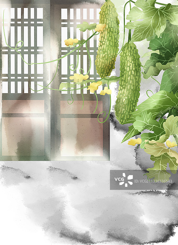 中国风院子苦瓜背景图片素材