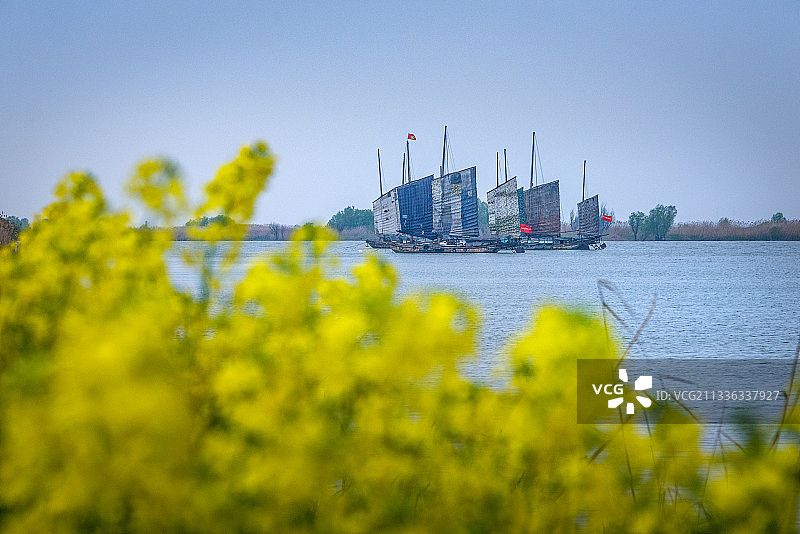江苏省扬州市高邮市郊野公园湖上花海景区图片素材