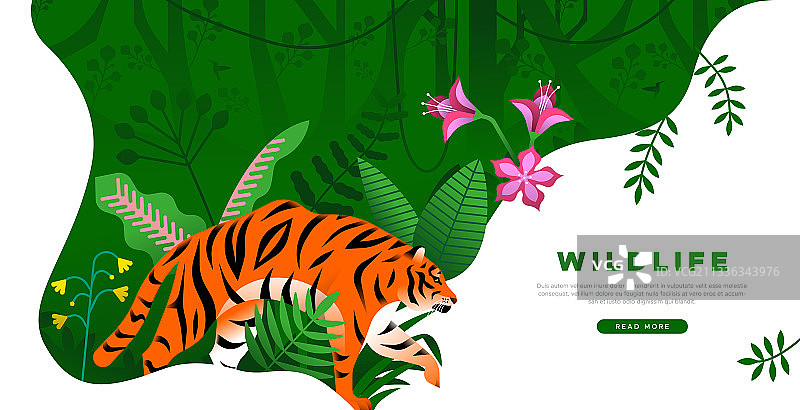 丛林老虎野生动物主题着陆页模板图片素材