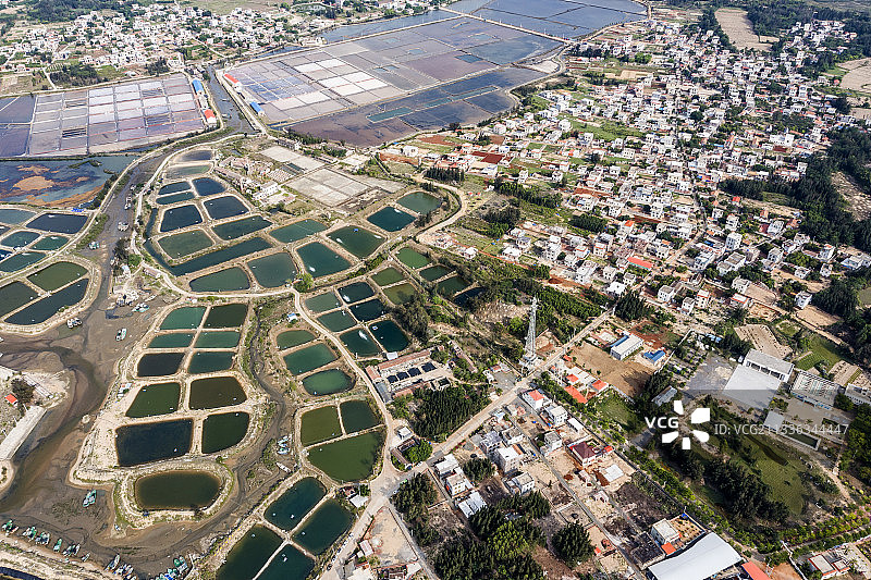 徐闻珊瑚礁保护区图片素材